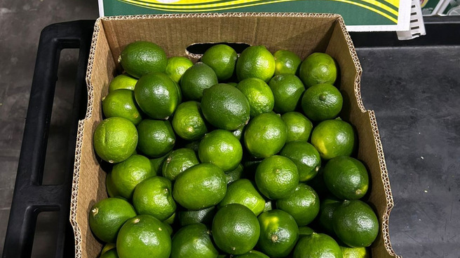 Persian Limes