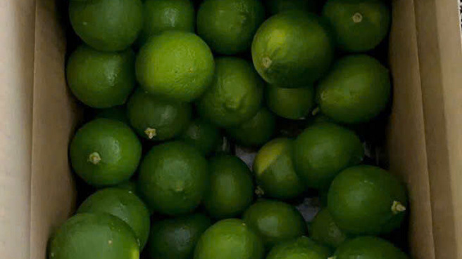 Limes