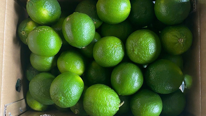 Limes