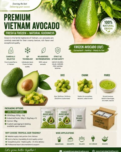 IQF Frozen Avocado – Vietnam — image 1