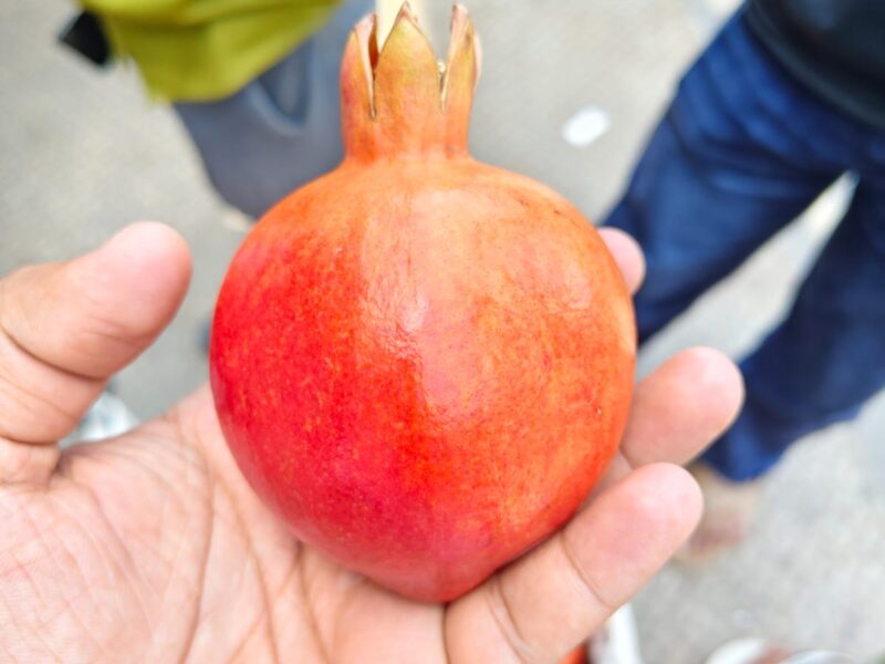 Fresh Pomegranate available – 50 MT — image 1