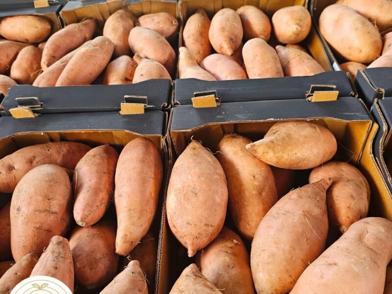 Sweet Potato — image 1