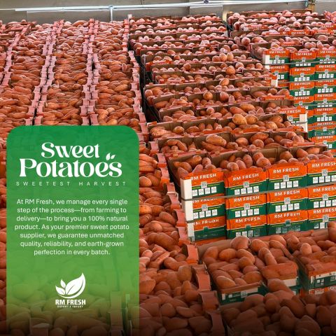 Potato — image 1