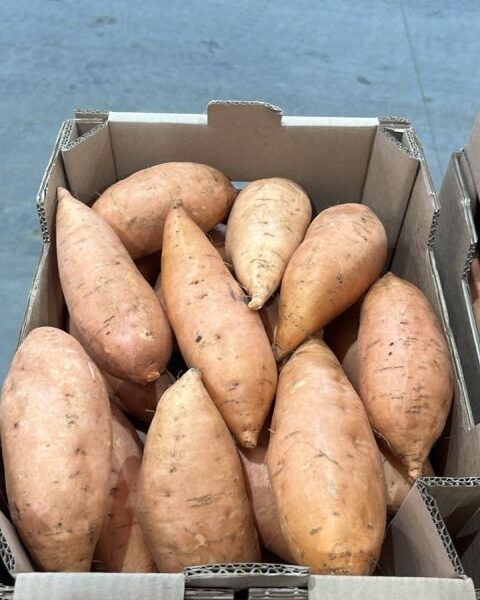 Potato — image 1
