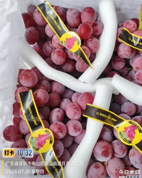 grape, grapes – China — image 1