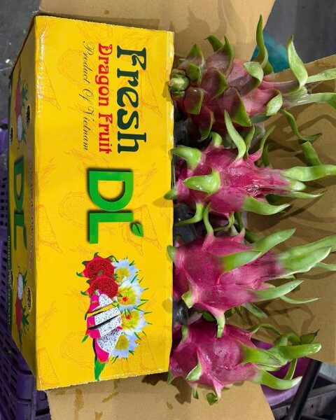 Dragon Fruit – Vietnam — image 1