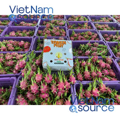 Dragon Fruit – Vietnam — image 1