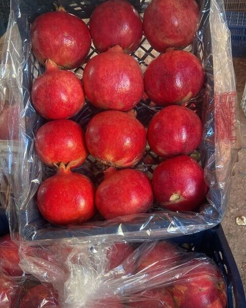 Pomegranates from EGYPT — image 1