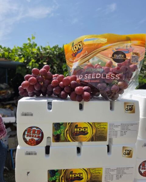 Grapes — image 1