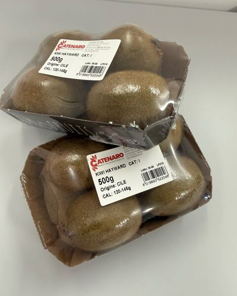 Italians KIWI — image 1