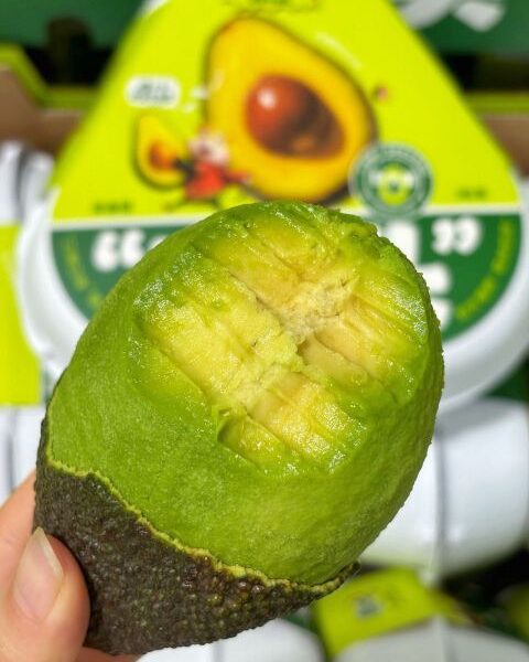 Looking for Avocado – China — image 1