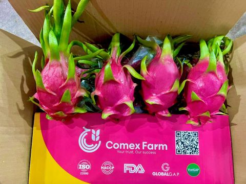 Dragon fruit – Vietnam — image 1