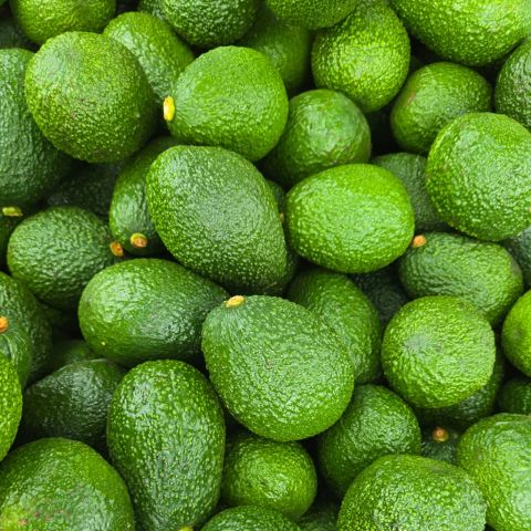 Avocado — image 1