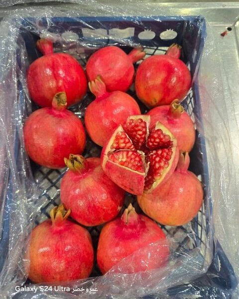 pomegranate – Egypt — image 1