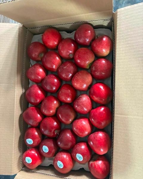 apple – Turkey — image 1
