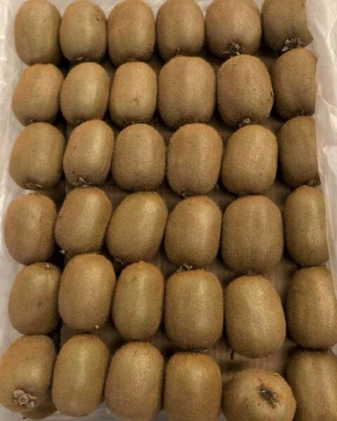 kiwi for export — image 1