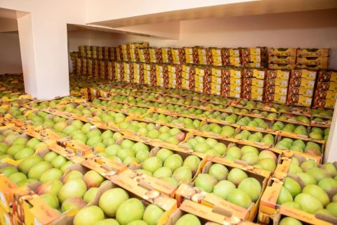 avocado, mango, apple – Kenya — image 1