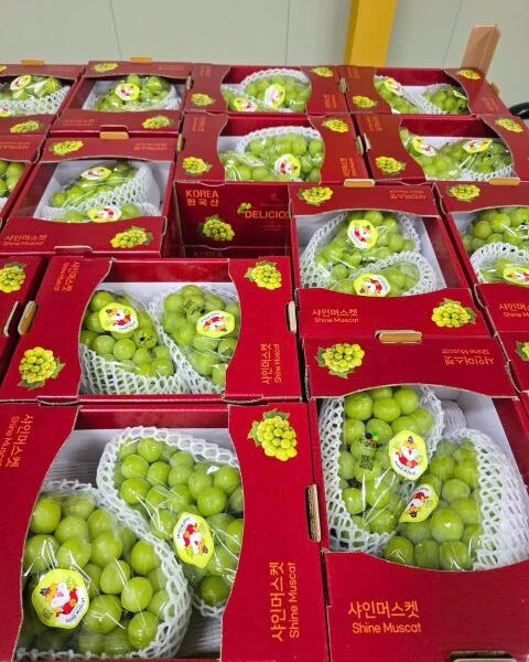 grapes MUSCAT — image 1