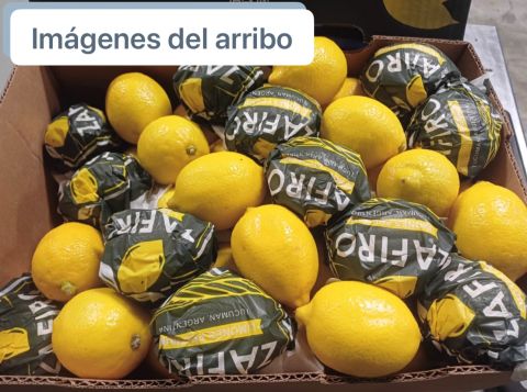 lemon — image 1