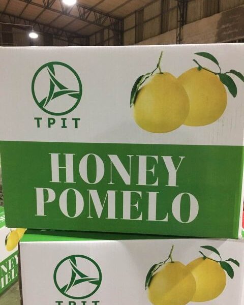 pomelo — image 1