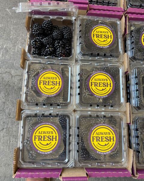 Berries, Blackberry — image 1