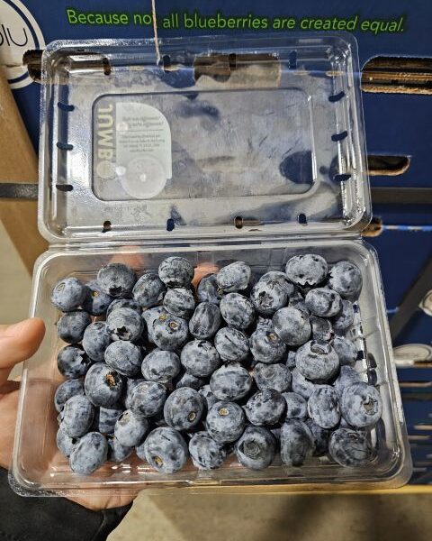 Blueberries — image 1