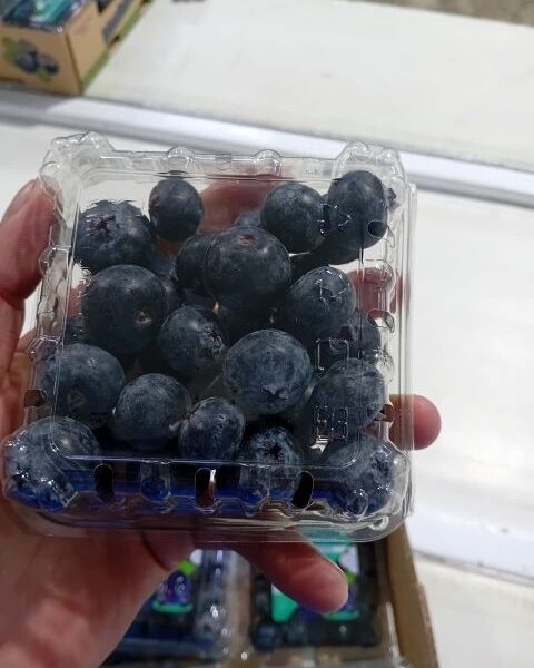 Blueberry by AIR available — image 1