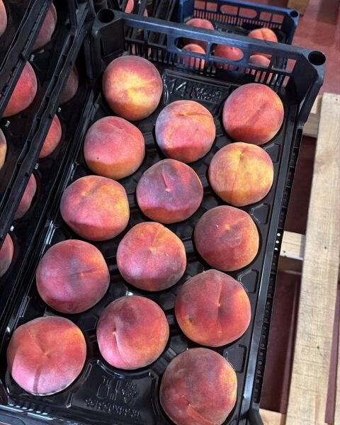 Peaches from Turkey — image 1