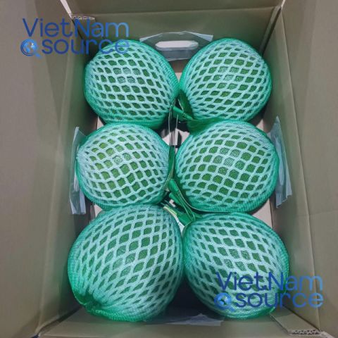 Dragon Fruit – Vietnam — image 1