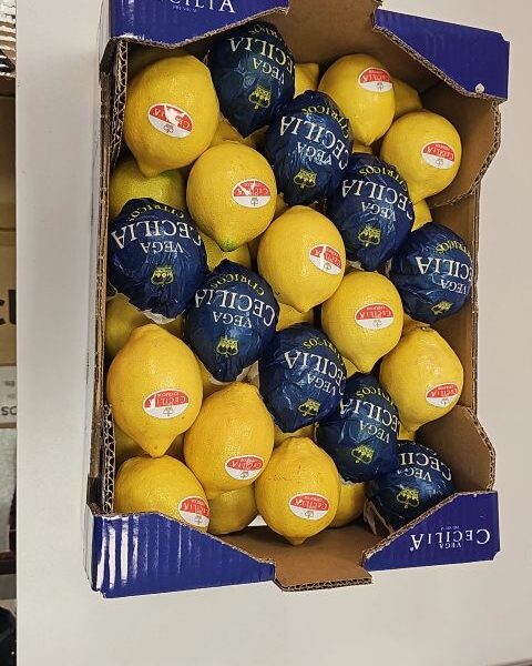 LEMON FROM SPAIN — image 1