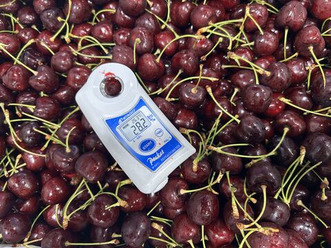 Sweet cherries from USA — image 1