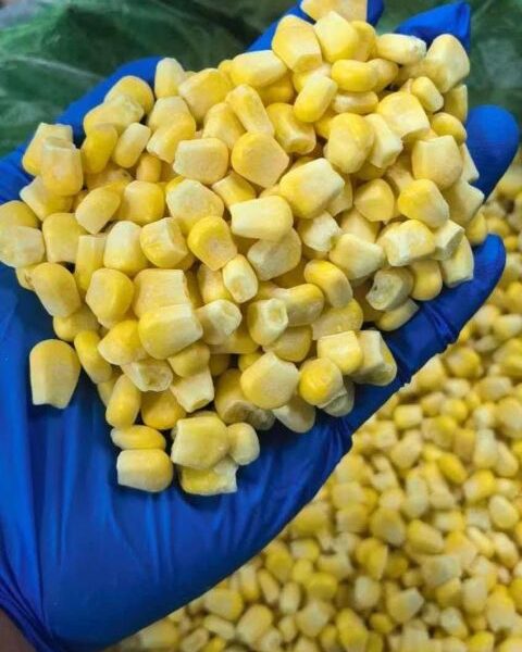 IQF Sweet Corn – China — image 1