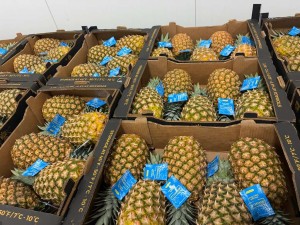 Pineapple USA – Texas — image 1