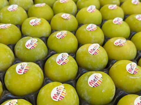 Plums – FORTUNA – Italy — image 1