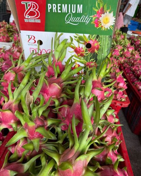 DRAGON FRUIT — image 1