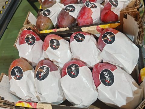 mango — image 1