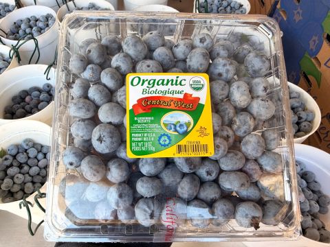 blueberry — image 1