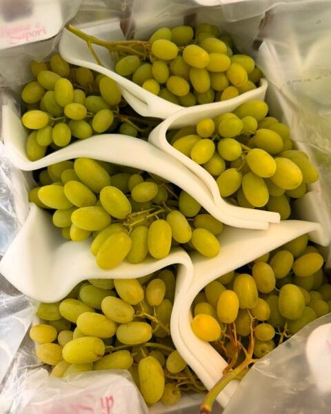 grapes ITALY — image 1