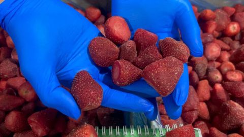 Frozen Strawberry– Egypt — image 1