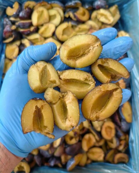 Frozen plums from Serbia — image 1