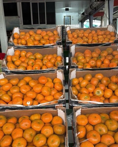 Mandarine origin Peru — image 1