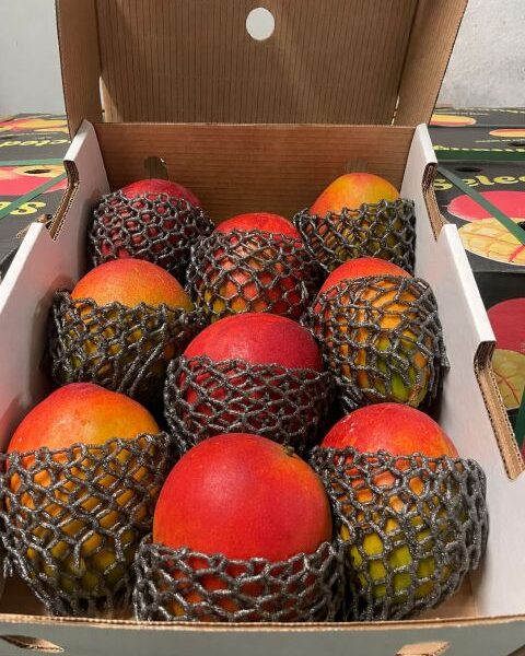 Mango – Brazil — image 1