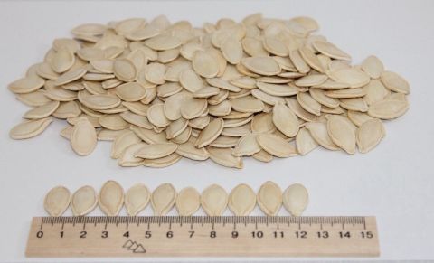Pumpkin Seeds — image 1