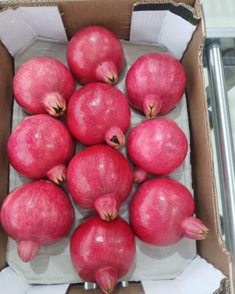 Pomegranates– Spain — image 1