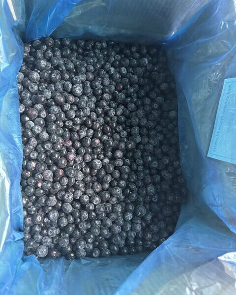 FROZEN BLUEBERRY — image 1