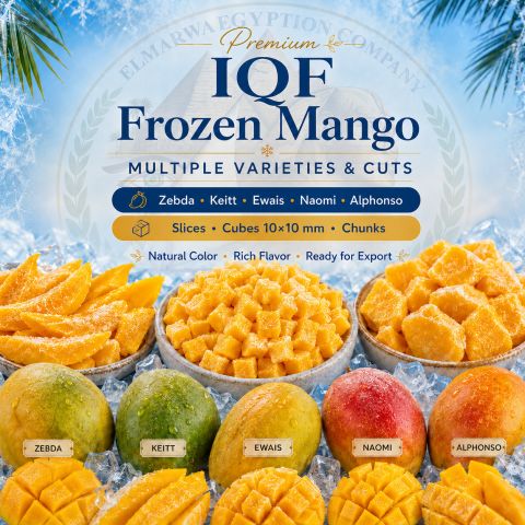 mango – Egypt — image 1