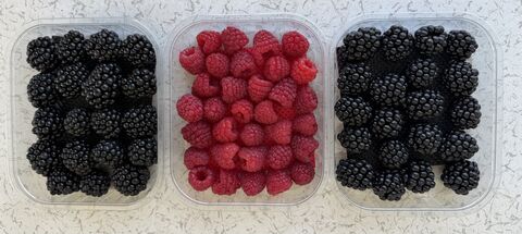 berries from TURKEY — image 1