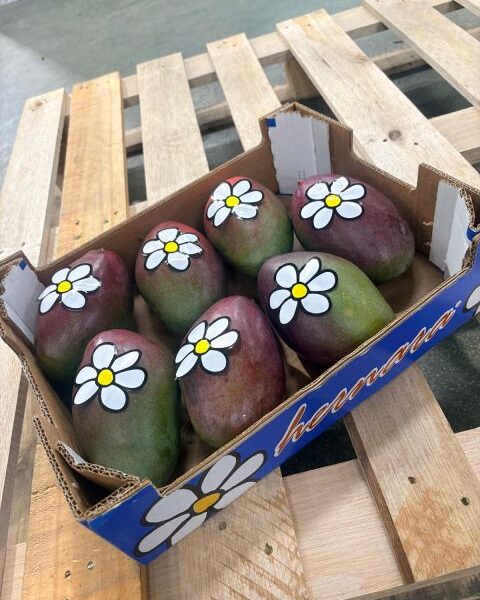 mango — image 1