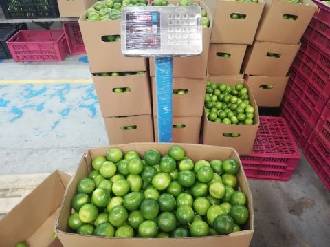 Lime – Colombia — image 1