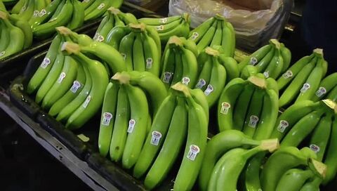banana – Vietnam — image 1